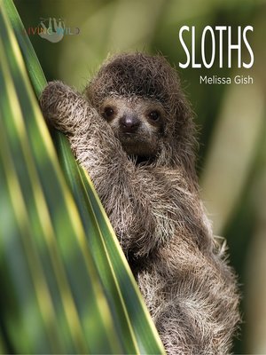 cover image of Sloths